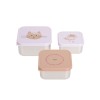 Assortiment snackdoosjes RVS - Snackbox set tiny team cat (Wenslijst ...)